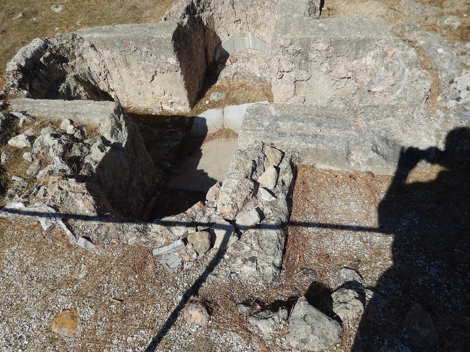 Ialysus